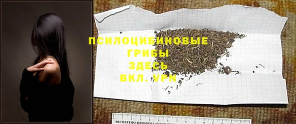 прущие грибы Волоколамск