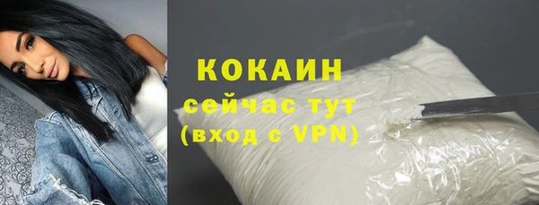 прущие грибы Волоколамск