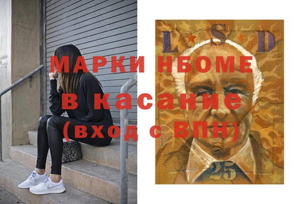 прущие грибы Волоколамск