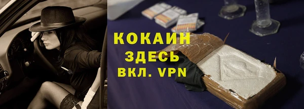 прущие грибы Волоколамск