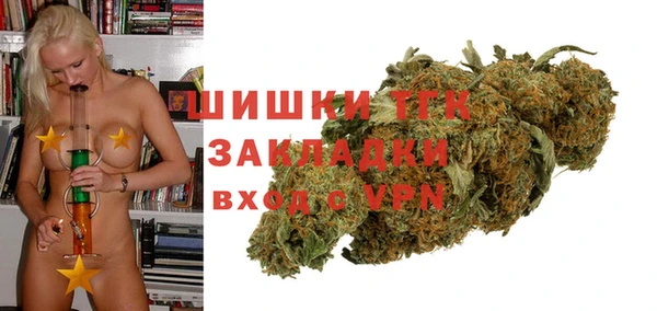 прущие грибы Волоколамск