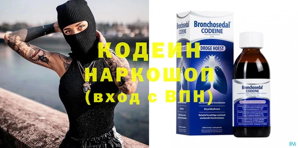 прущие грибы Волоколамск