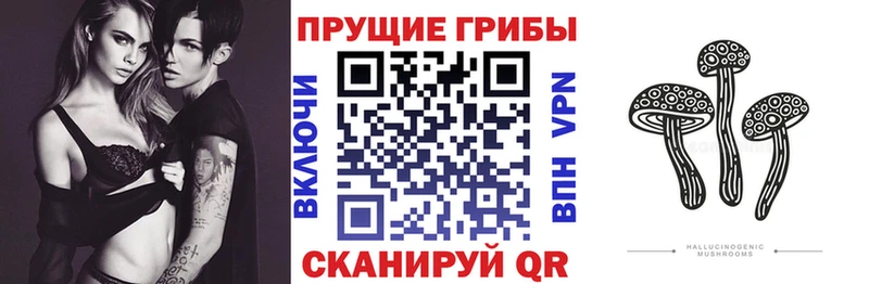 Галлюциногенные грибы ЛСД  Всеволожск 